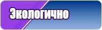Свитшот бомбер лонгслив